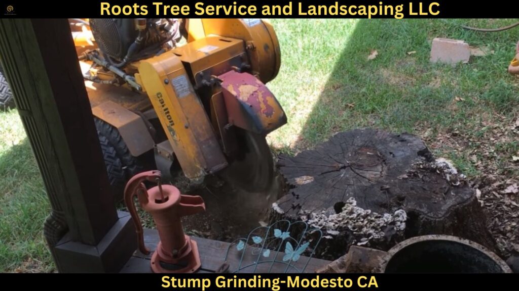 Stump Grinding in Modesto CA