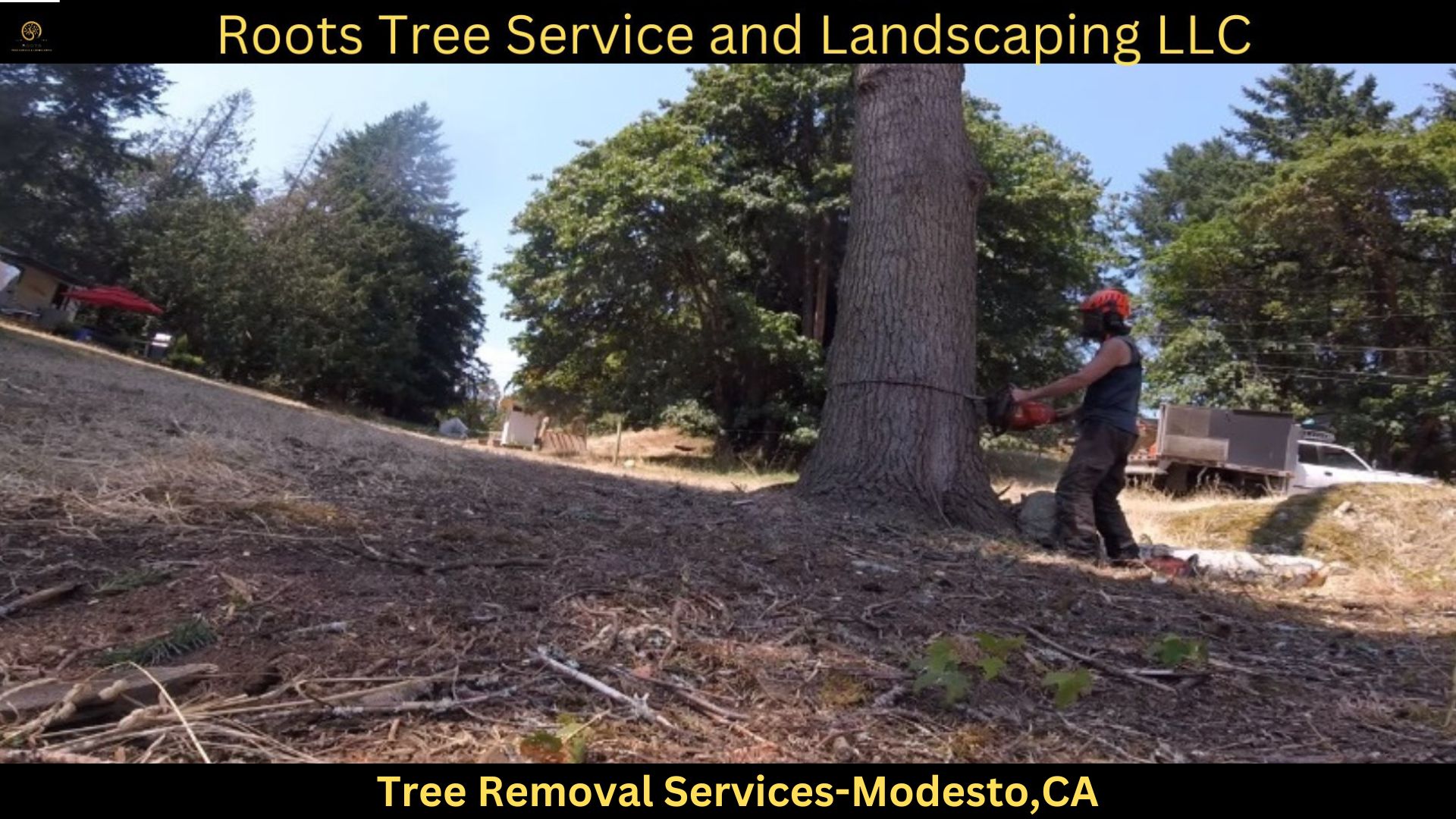 Gallery - Roots Tree Service And Landscaping LLC