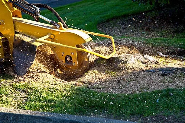 Stump Grinding in Modesto CA