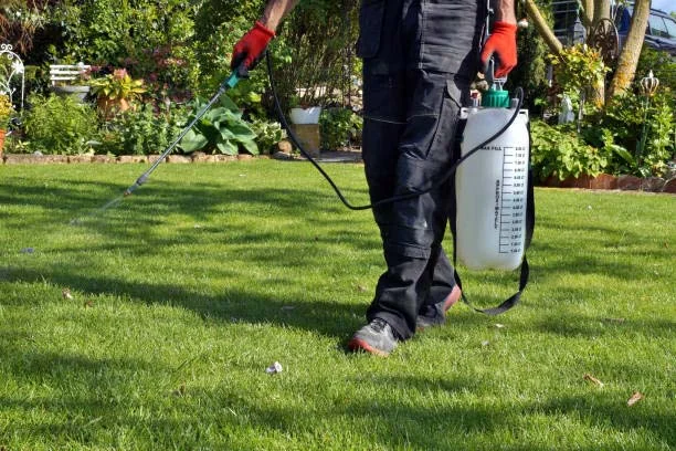 Weed Spraying (weed control)