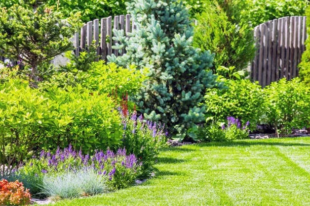 Landscape Preparation tips